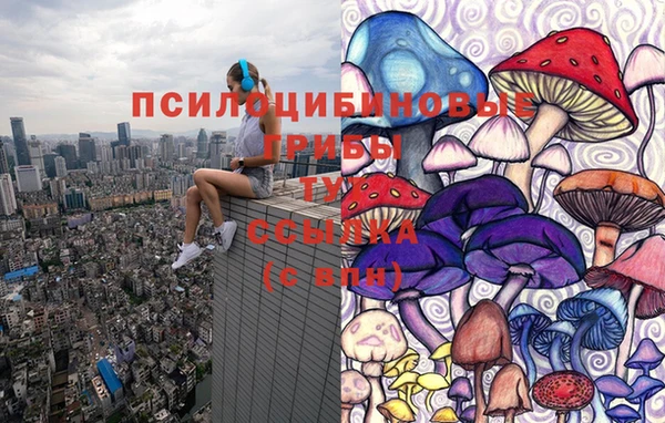 apvp Нязепетровск