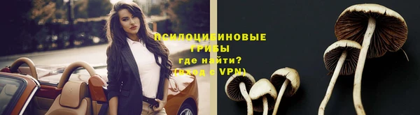 apvp Нязепетровск