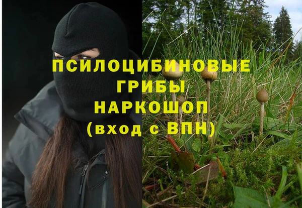 герыч Весьегонск