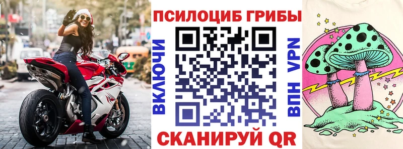 Псилоцибиновые грибы Psilocybine cubensis блэк спрут зеркало Шумерля