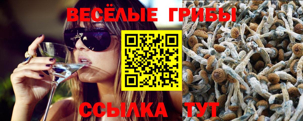 Псилоцибиновые грибы GOLDEN TEACHER Шумерля