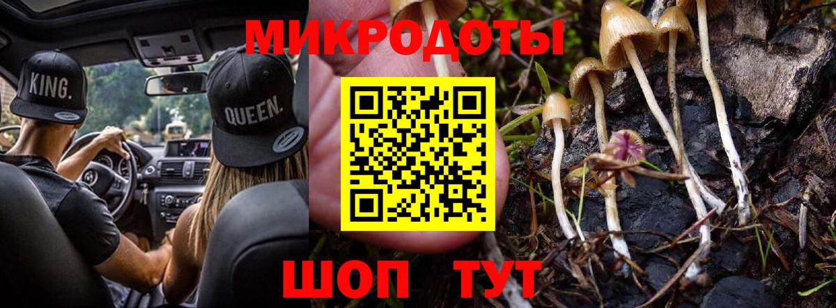 Галлюциногенные грибы мухоморы  цены наркотик  Шумерля  Галлюциногенные грибы Psilocybine cubensis  Вход с VPN 